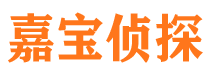 兴山市调查公司